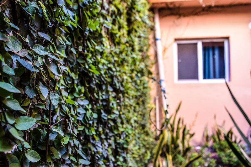 Econosuites Monterrey Exterior photo